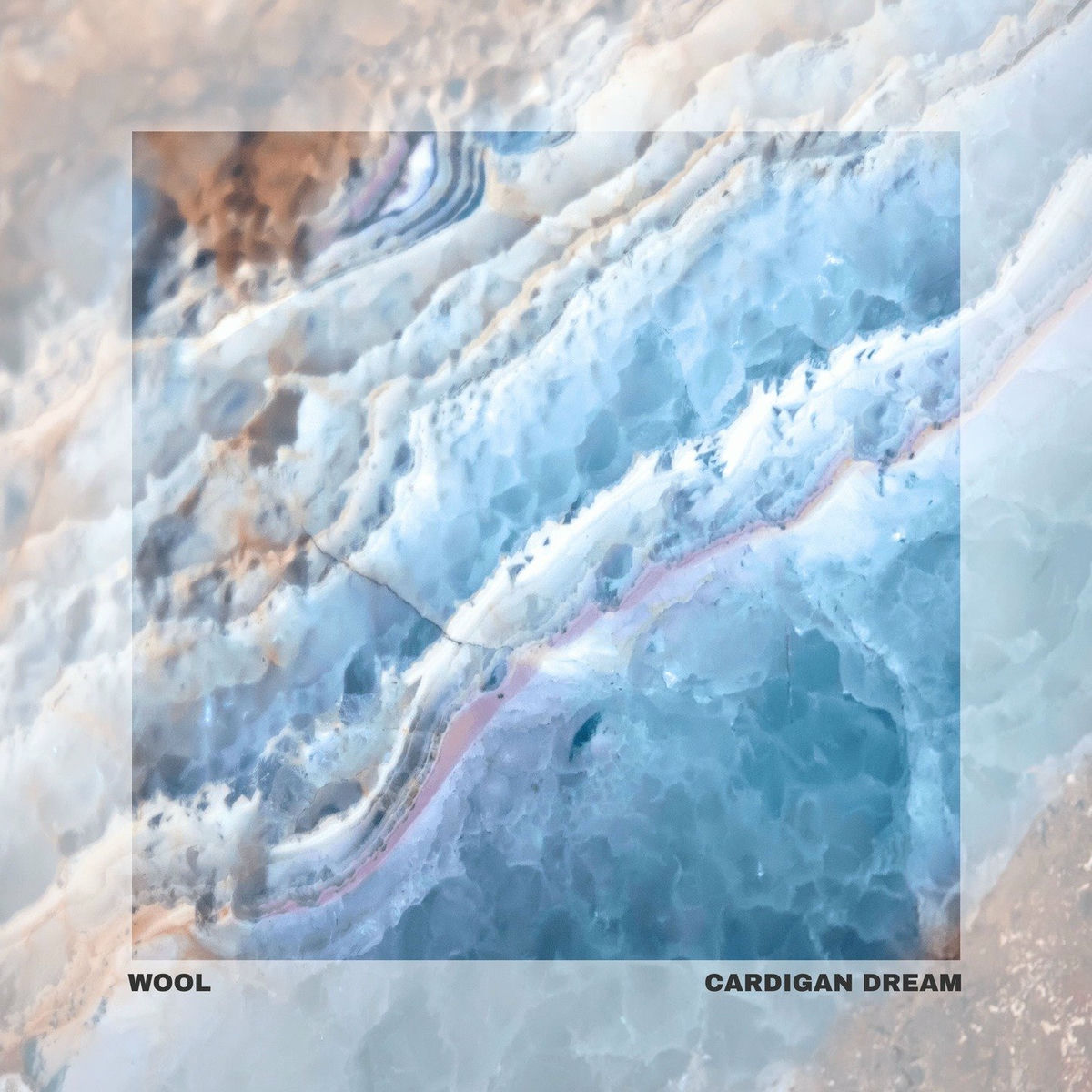 Album cover of Cardigan Dream