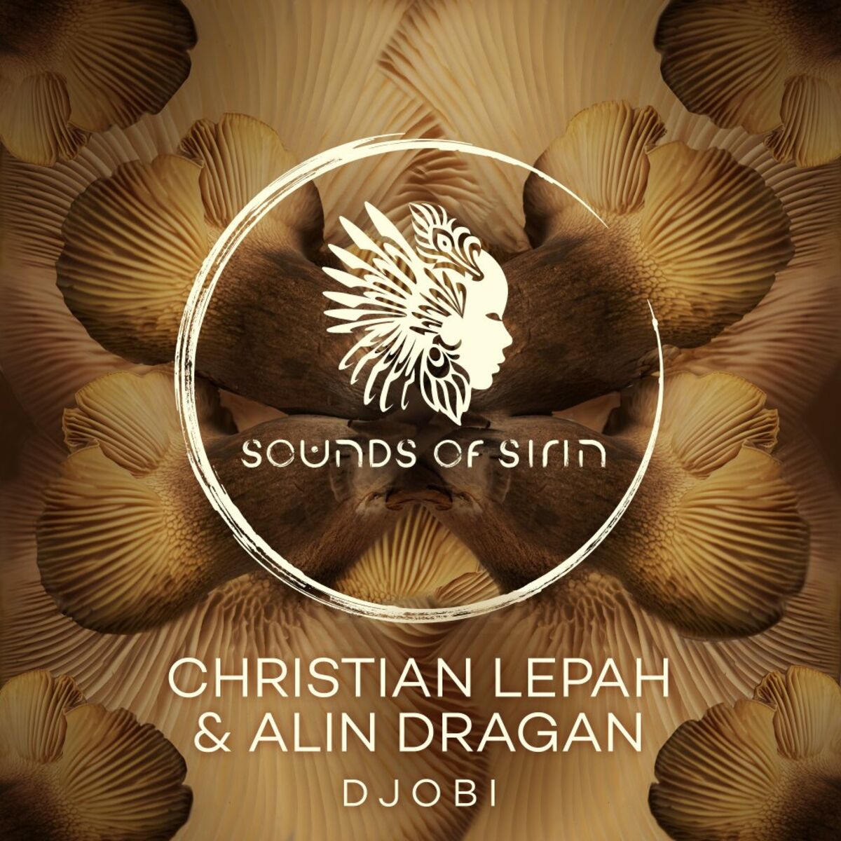 Album cover of Djobi