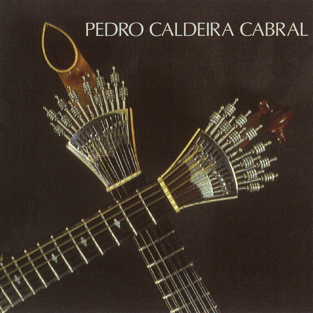 Picture of Pedro Caldeira Cabral
