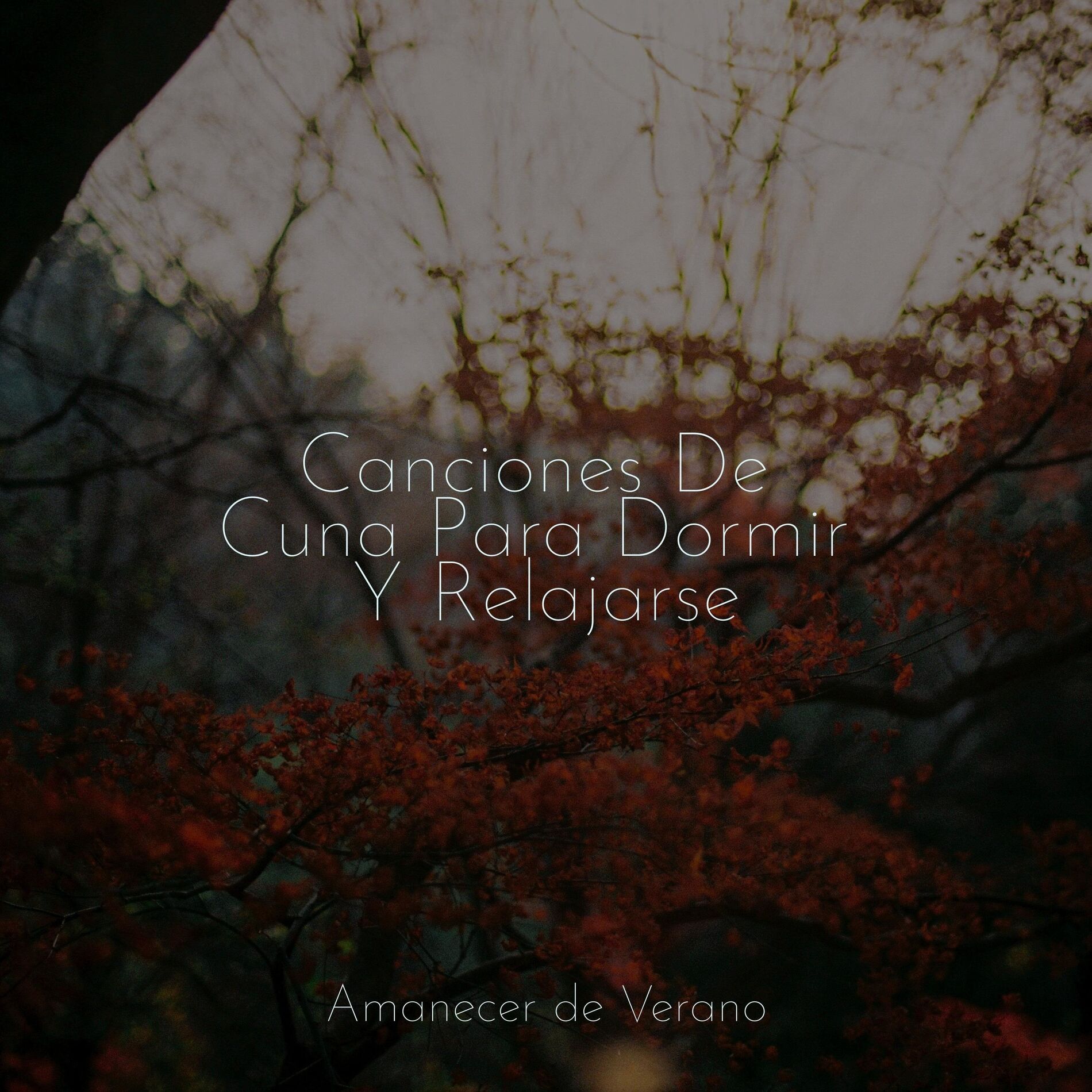 Album cover of Canciones De Cuna Para Dormir Y Relajarse