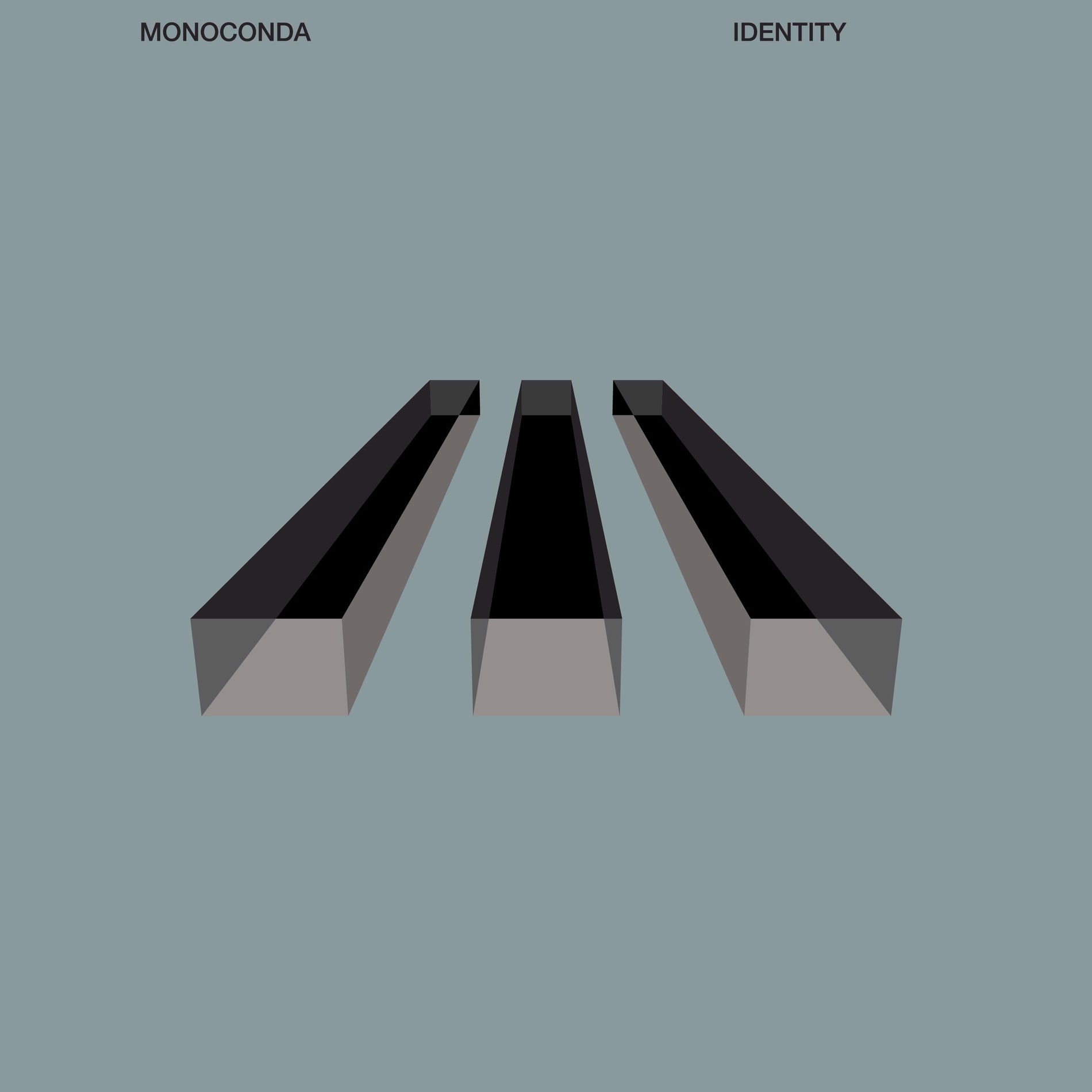 Album cover of Identity