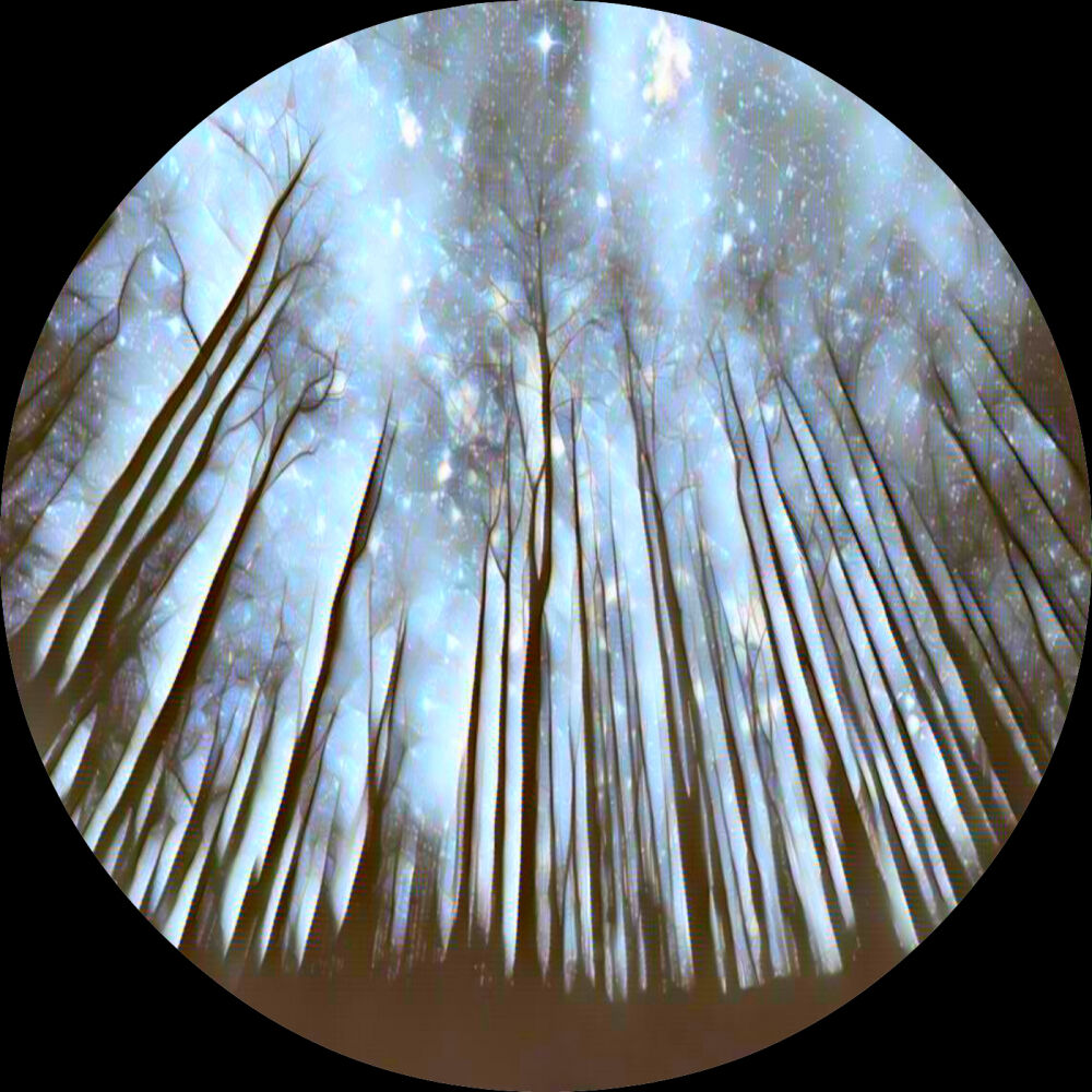 Picture of Fairy Tales EP