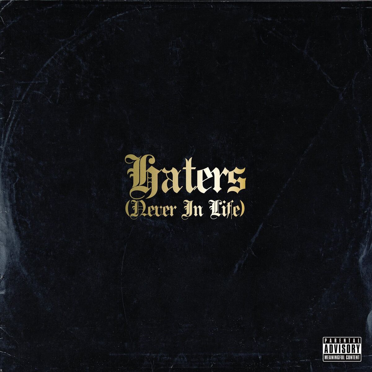 Album cover of HATERS (NEVER IN LIFE)
