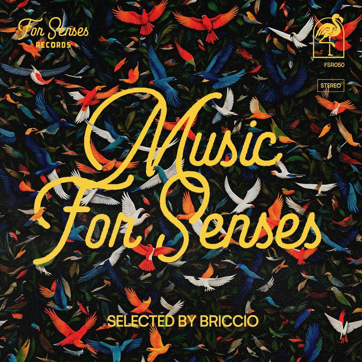 Album cover of Music for Senses - ADE 2024 Compiled by BRICCIO