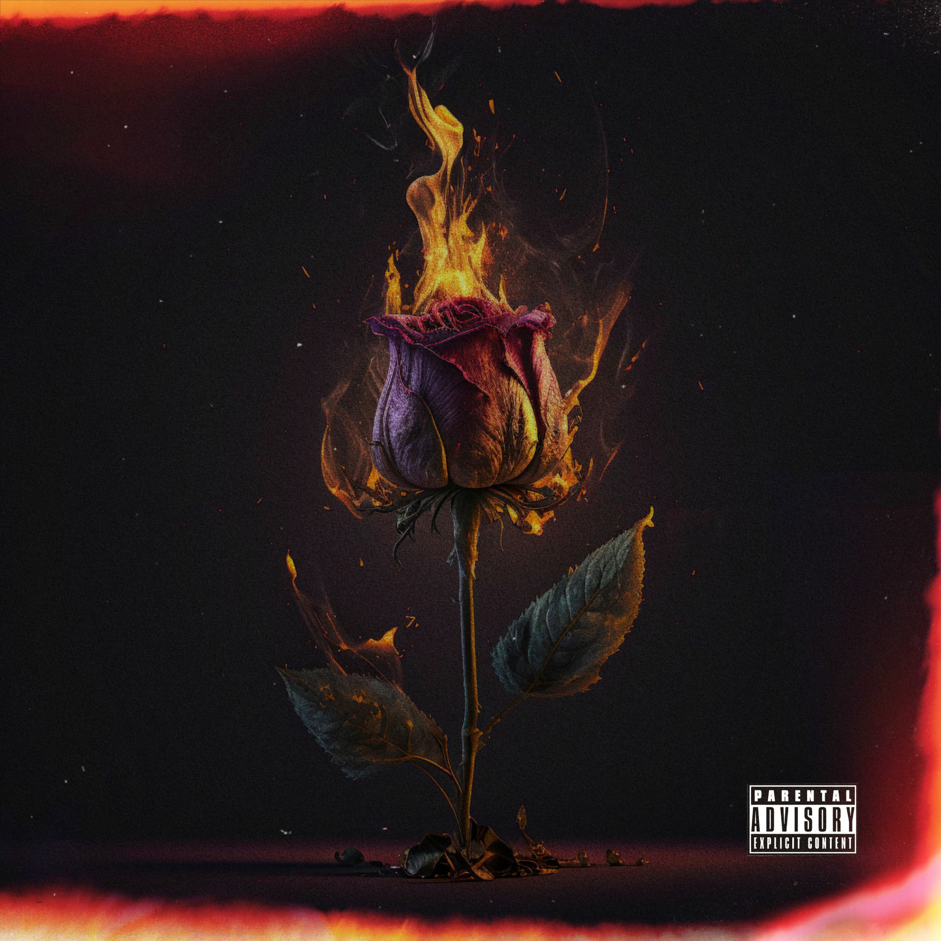 Album cover of No Love