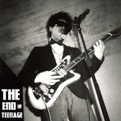 Cover of The End Of Teenage (Cassette Version)