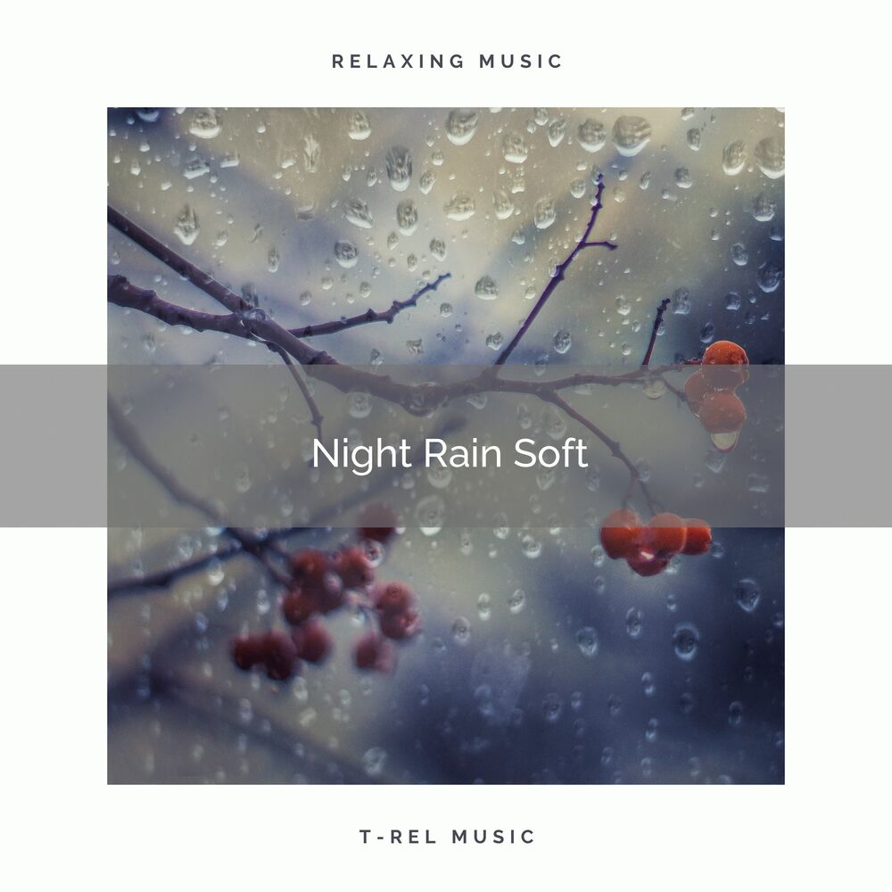 Picture of Night Rain Soft
