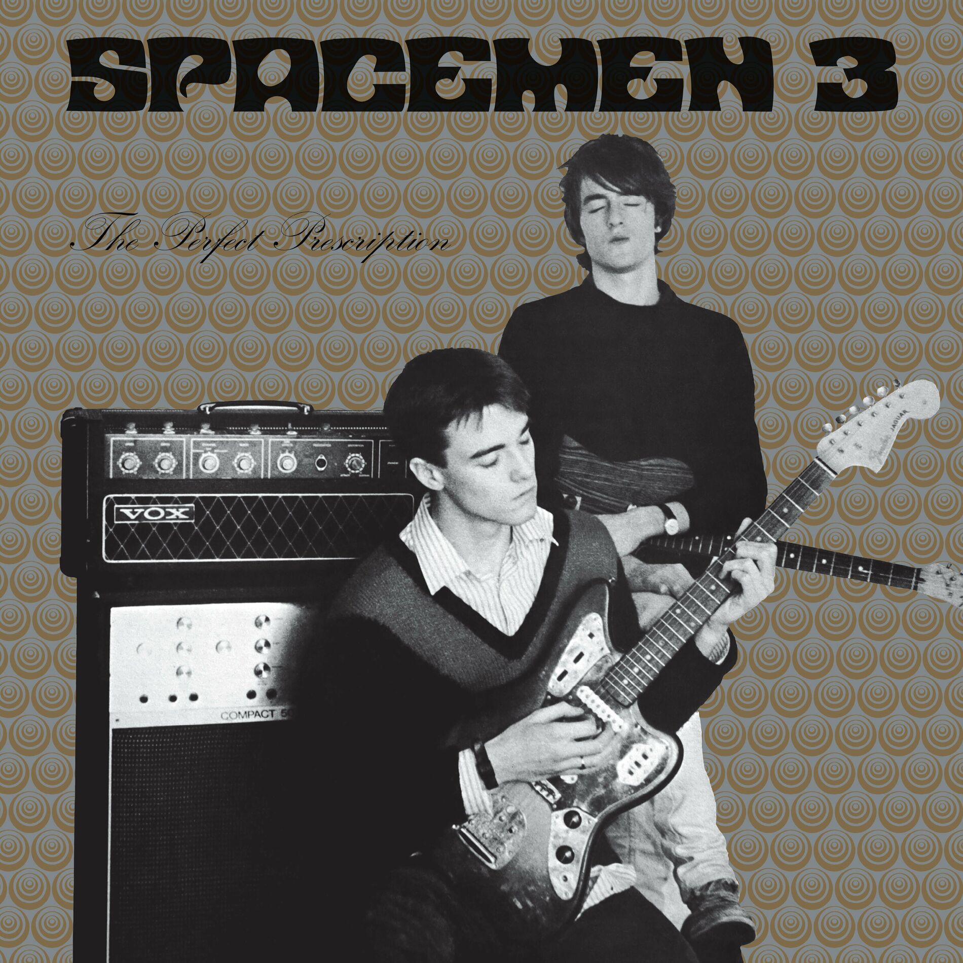 Album cover of The Perfect Prescription