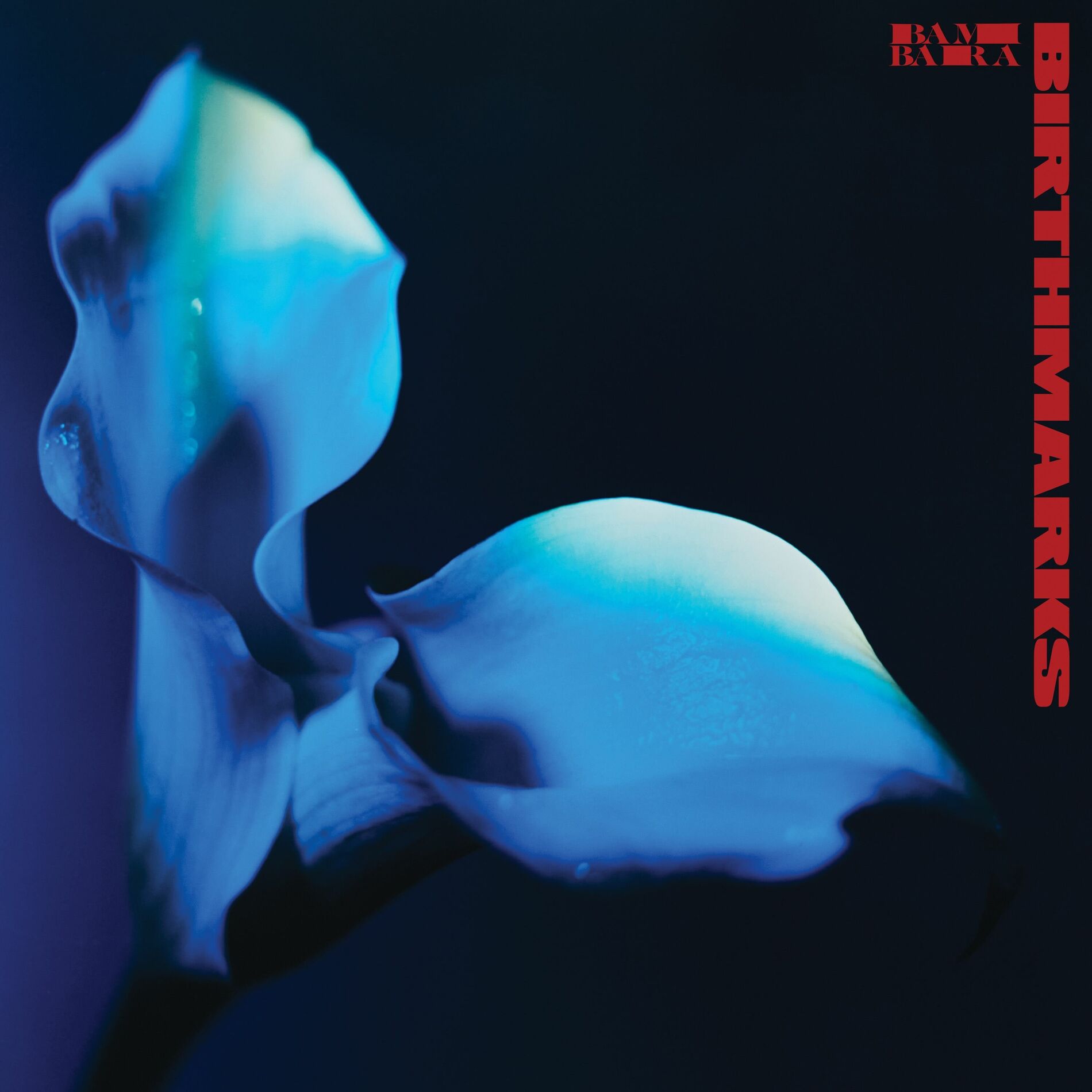 Album cover of Birthmarks
