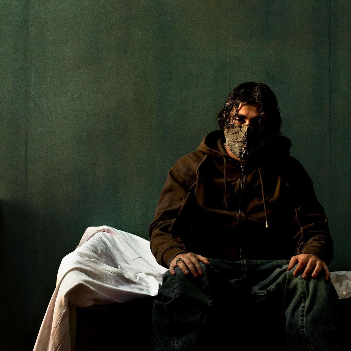 Album cover of AntiHero