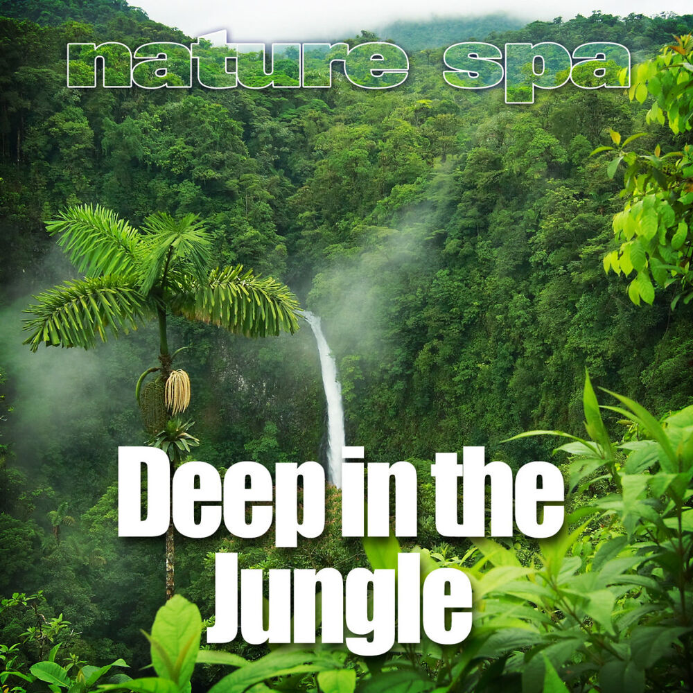 Picture of Deep in the Jungle