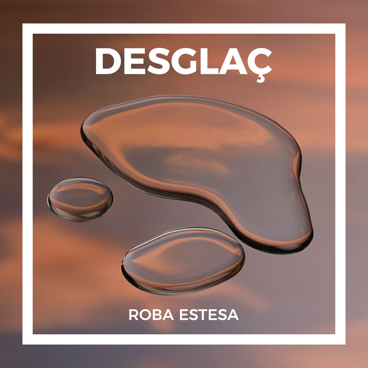 Album cover of Desglaç
