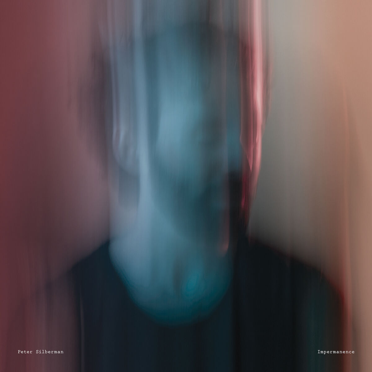 Album cover of Impermanence