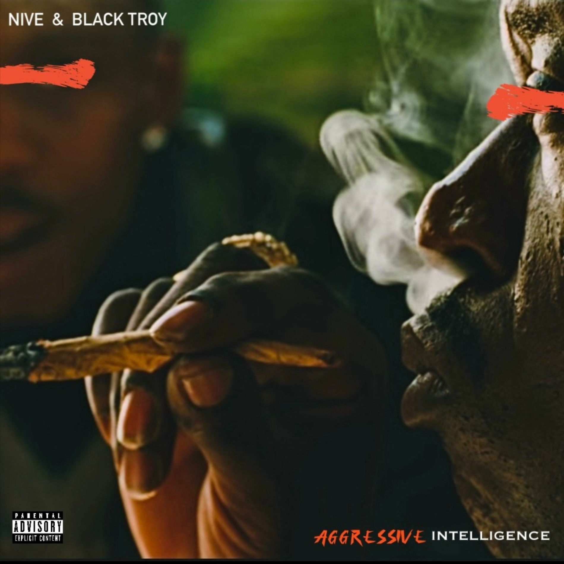 Album cover of AGGRESSIVE INTELLIGENCE
