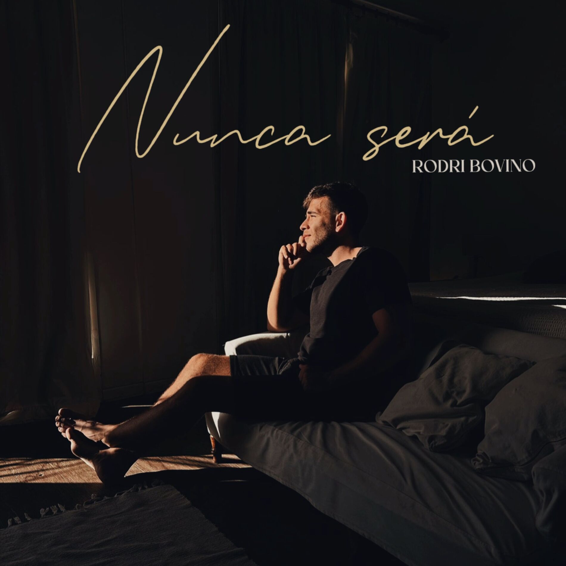Album cover of Nunca Será