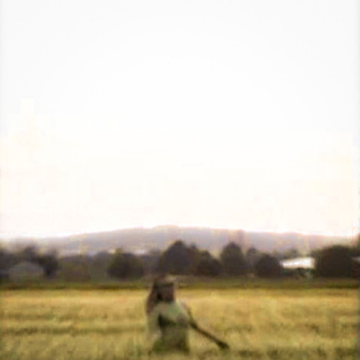 Album cover of Koma