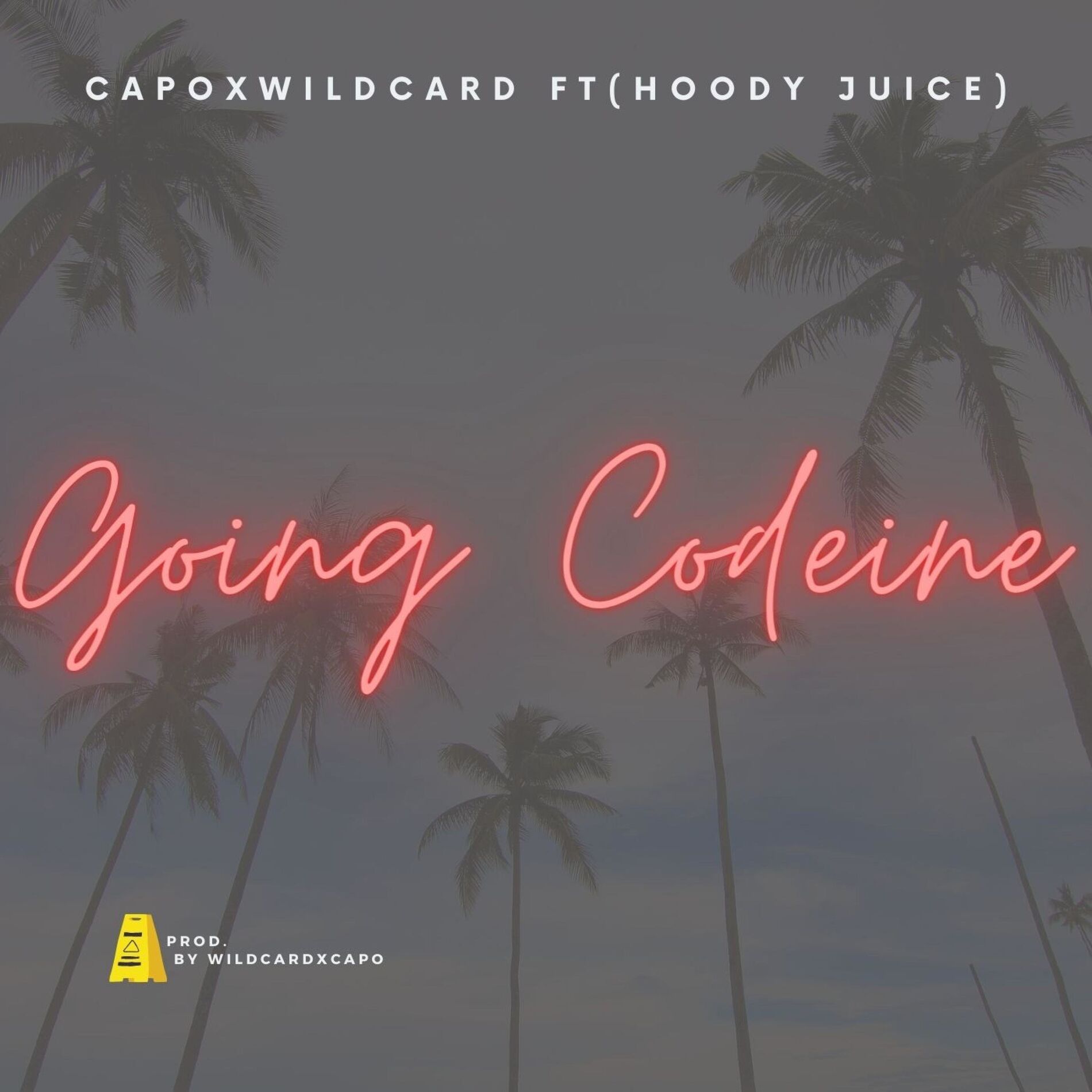 Album cover of Going Codeine (feat. Capo, wildcard & Hoody Juice)