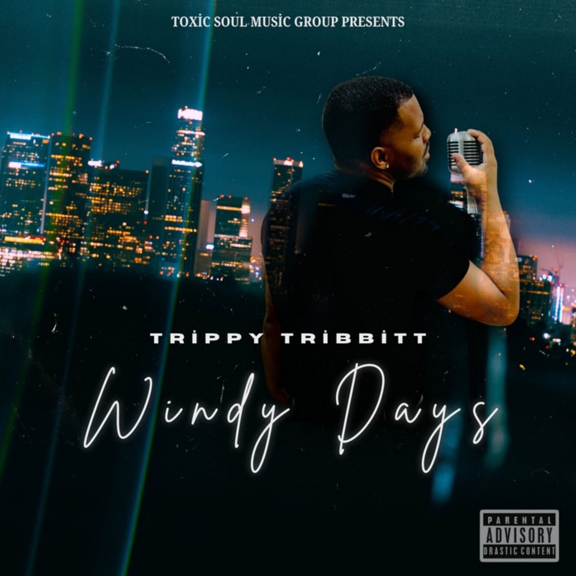 Album cover of Windy Days
