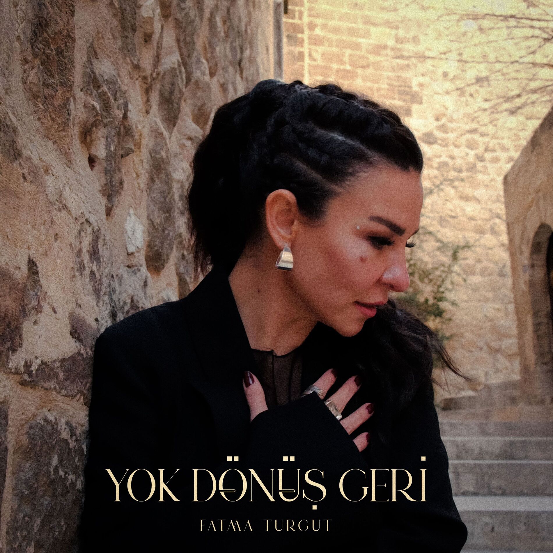 Album cover of Yok Dönüş Geri