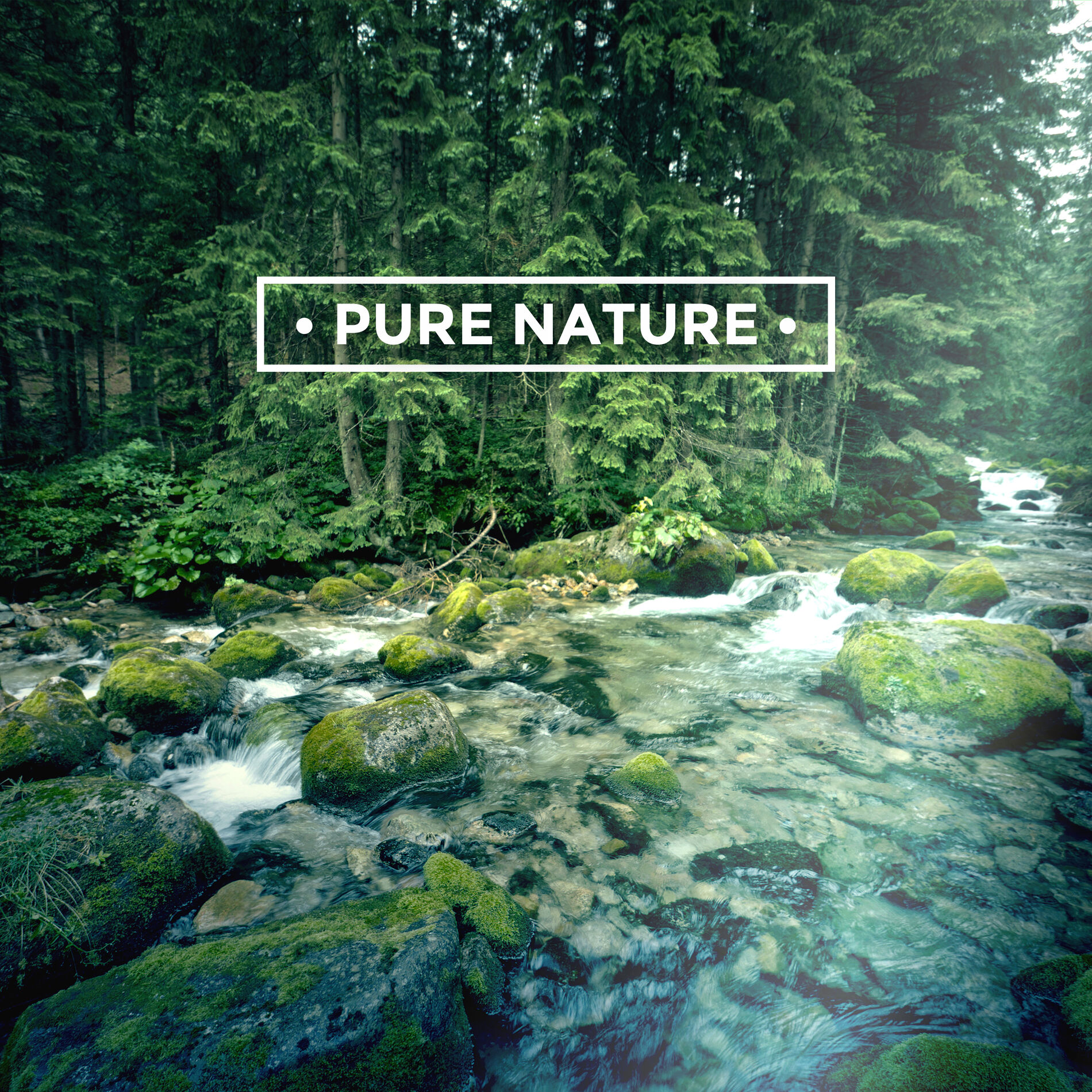 Album cover of Pure Nature (Music with Relaxing Sounds of Nature)