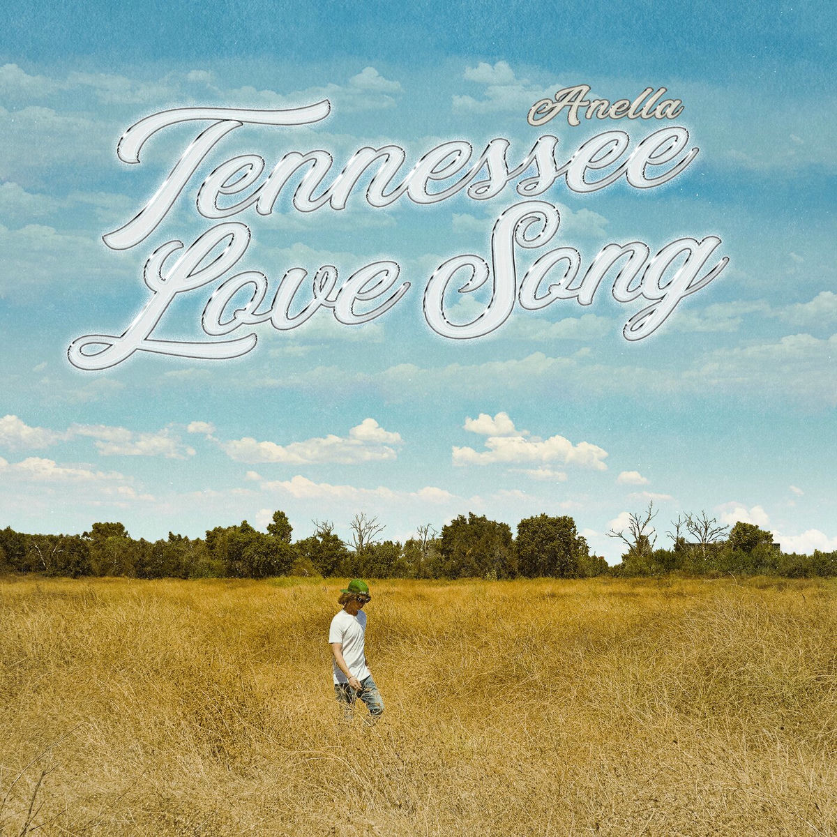 Album cover of Tennessee Love Song (Remixes)