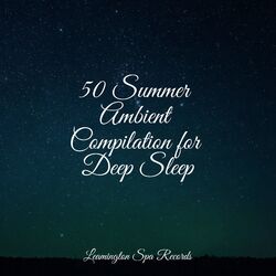 Cover of 50 Summer Ambient Compilation for Deep Sleep