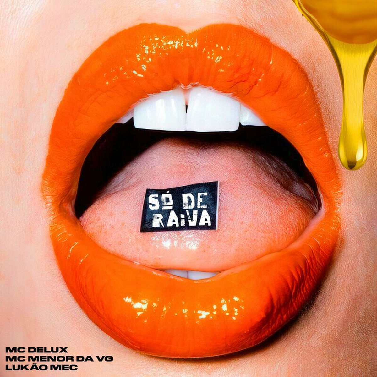Album cover of Só De Raiva