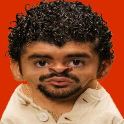 Cover of PIToRRO DE COCO