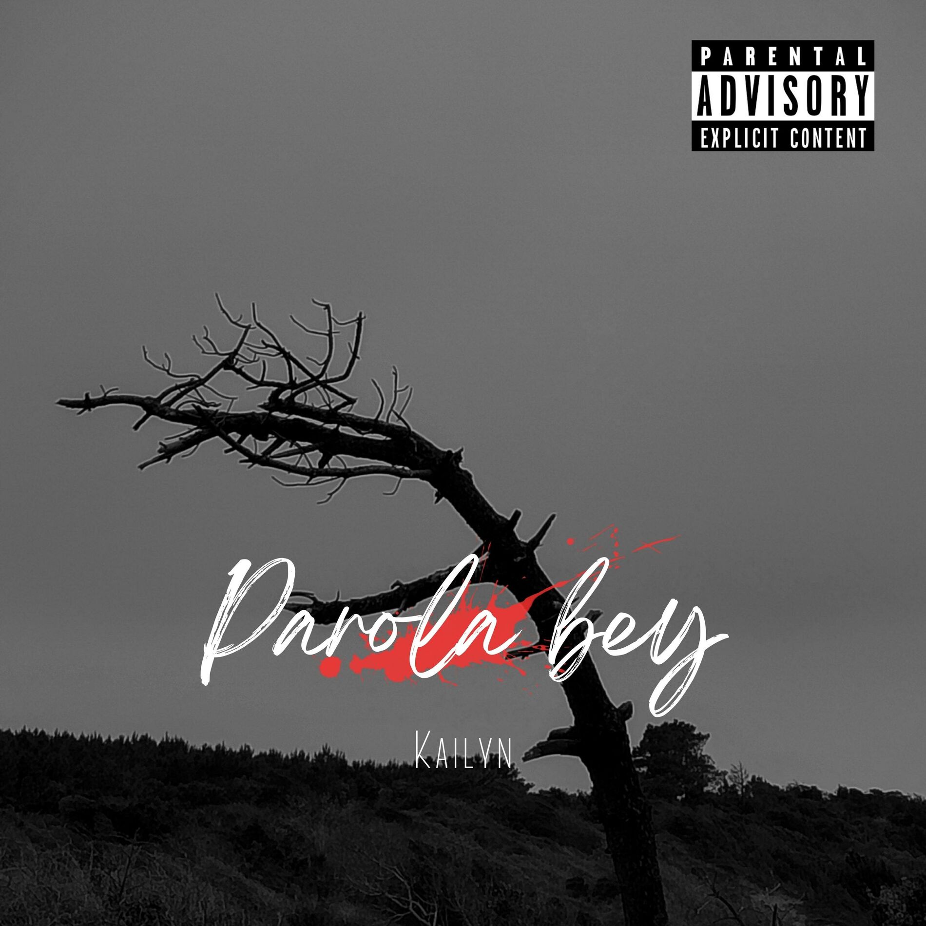 Album cover of Parola Bey