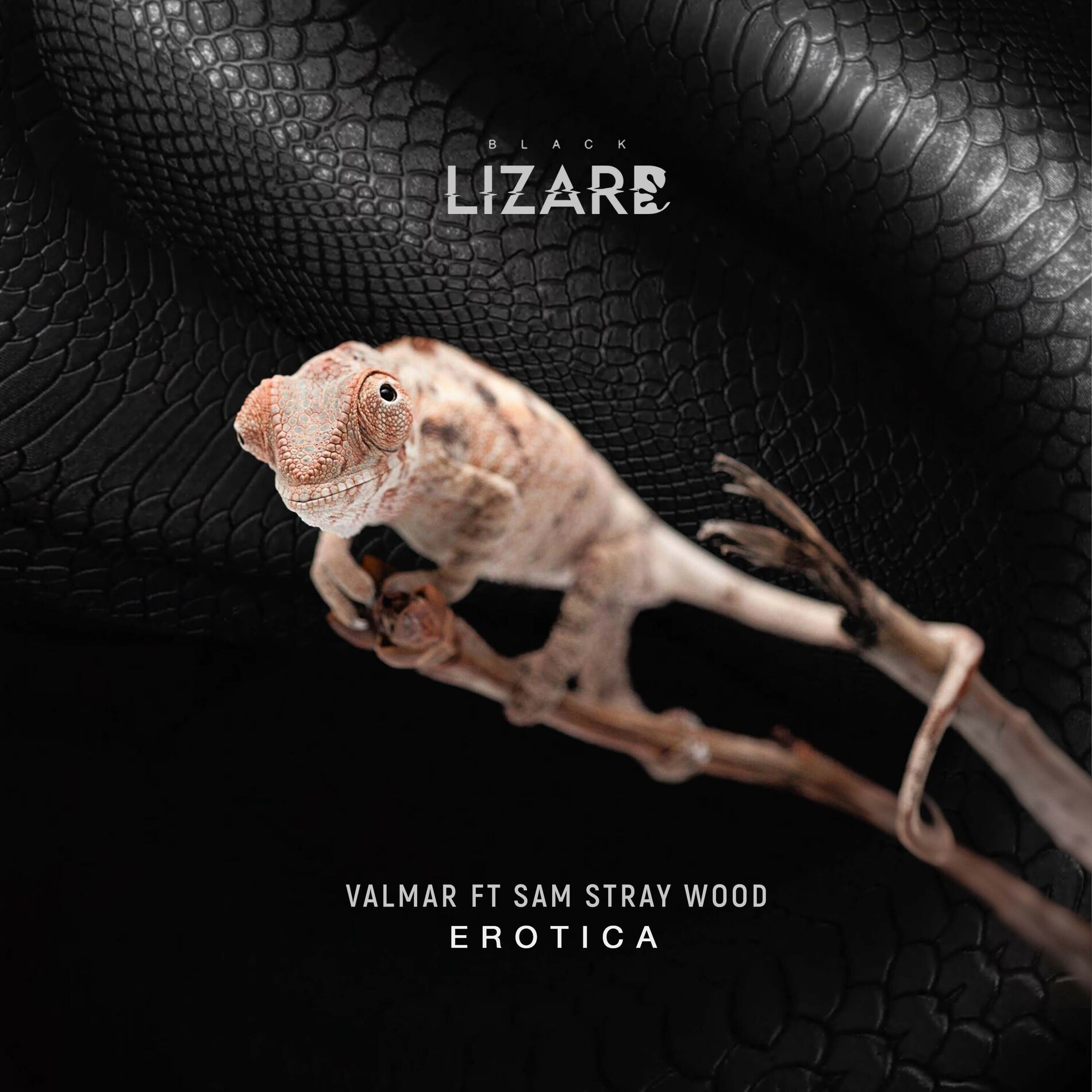 Album cover of Erotica