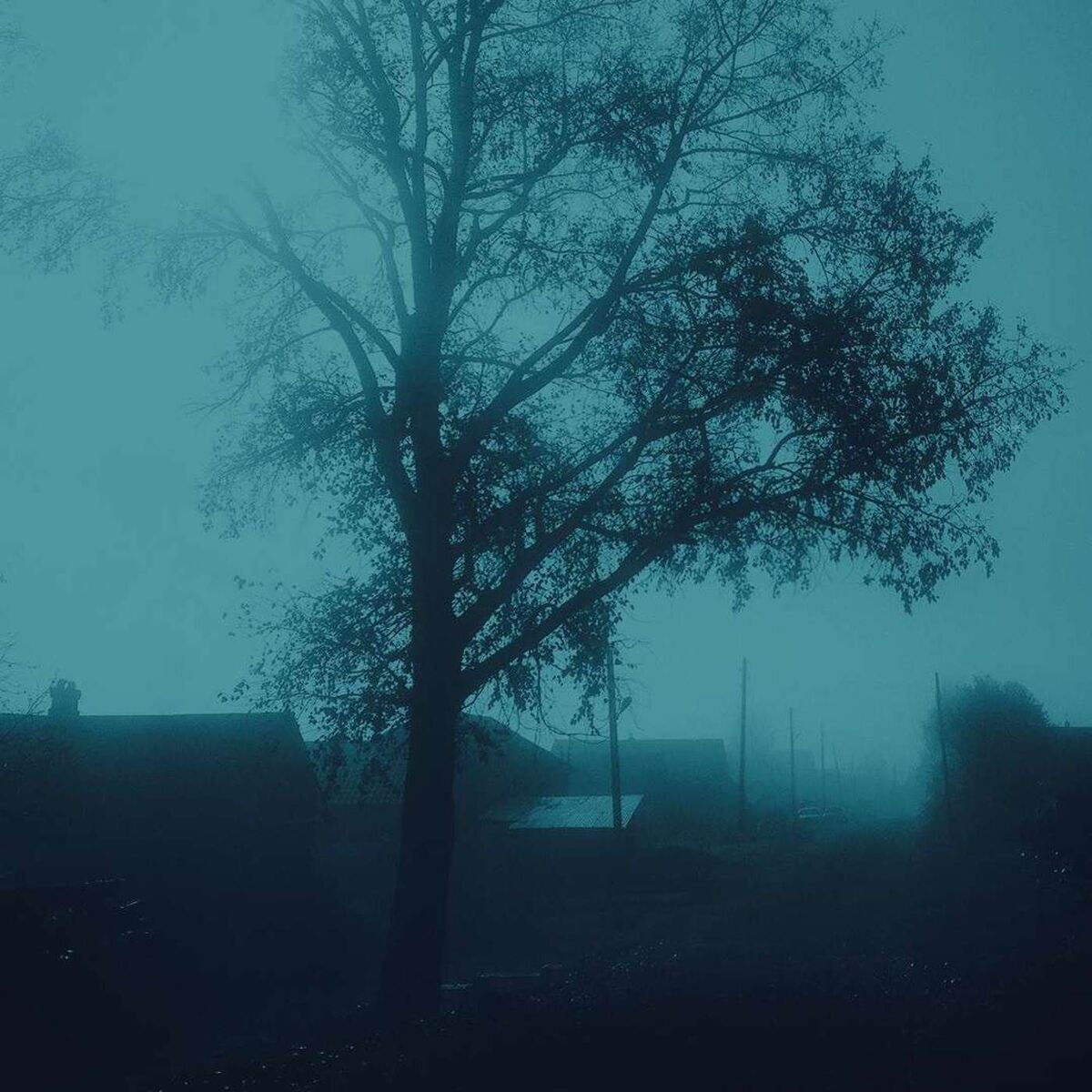 Album cover of I'll miss you forever