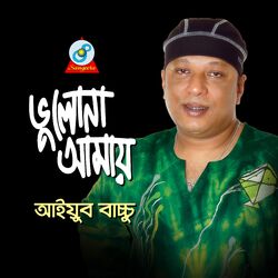 Cover of Bhulona Amay