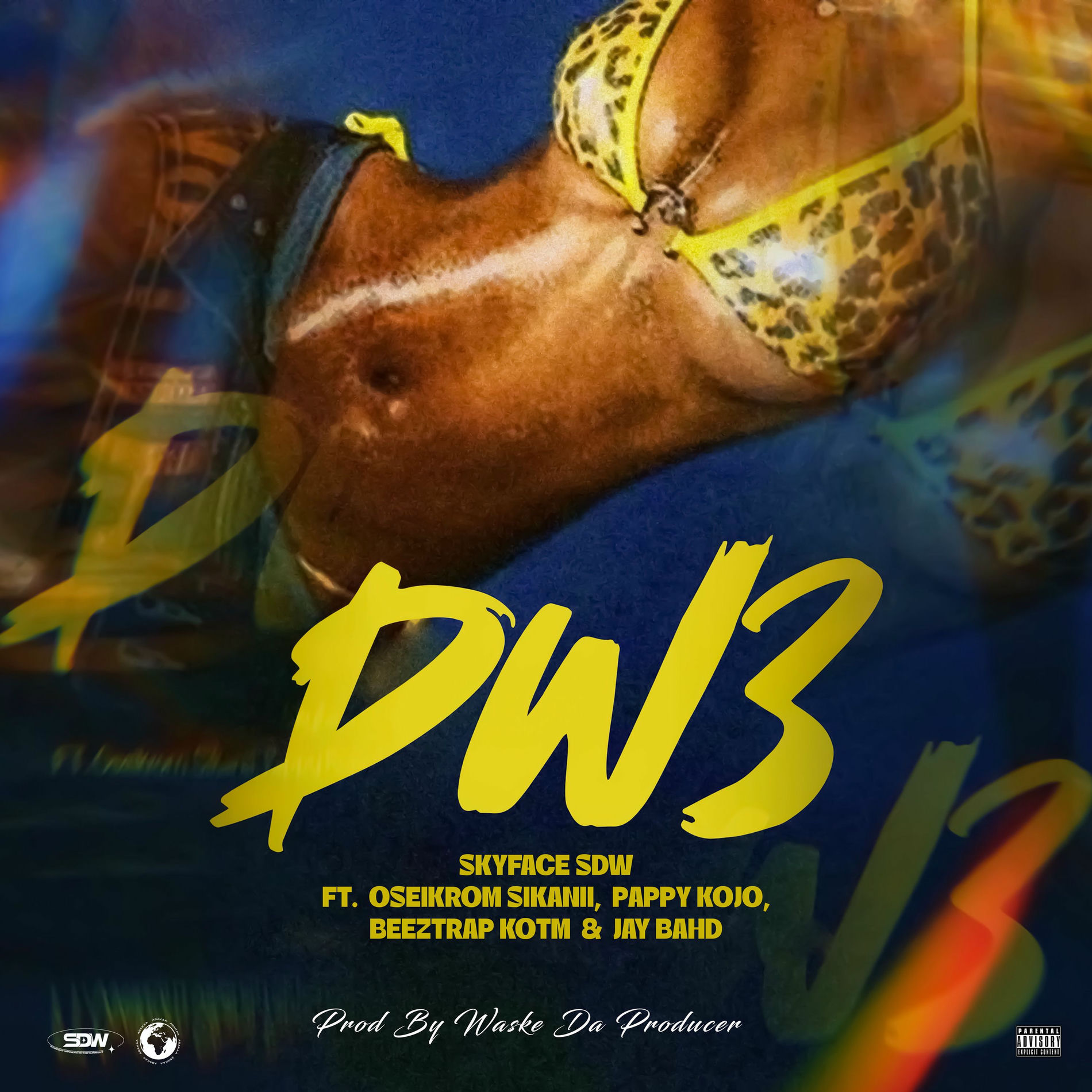 Album cover of DW3