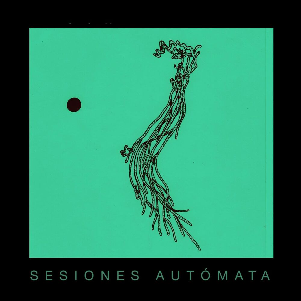 Picture of Sesiones Autómata