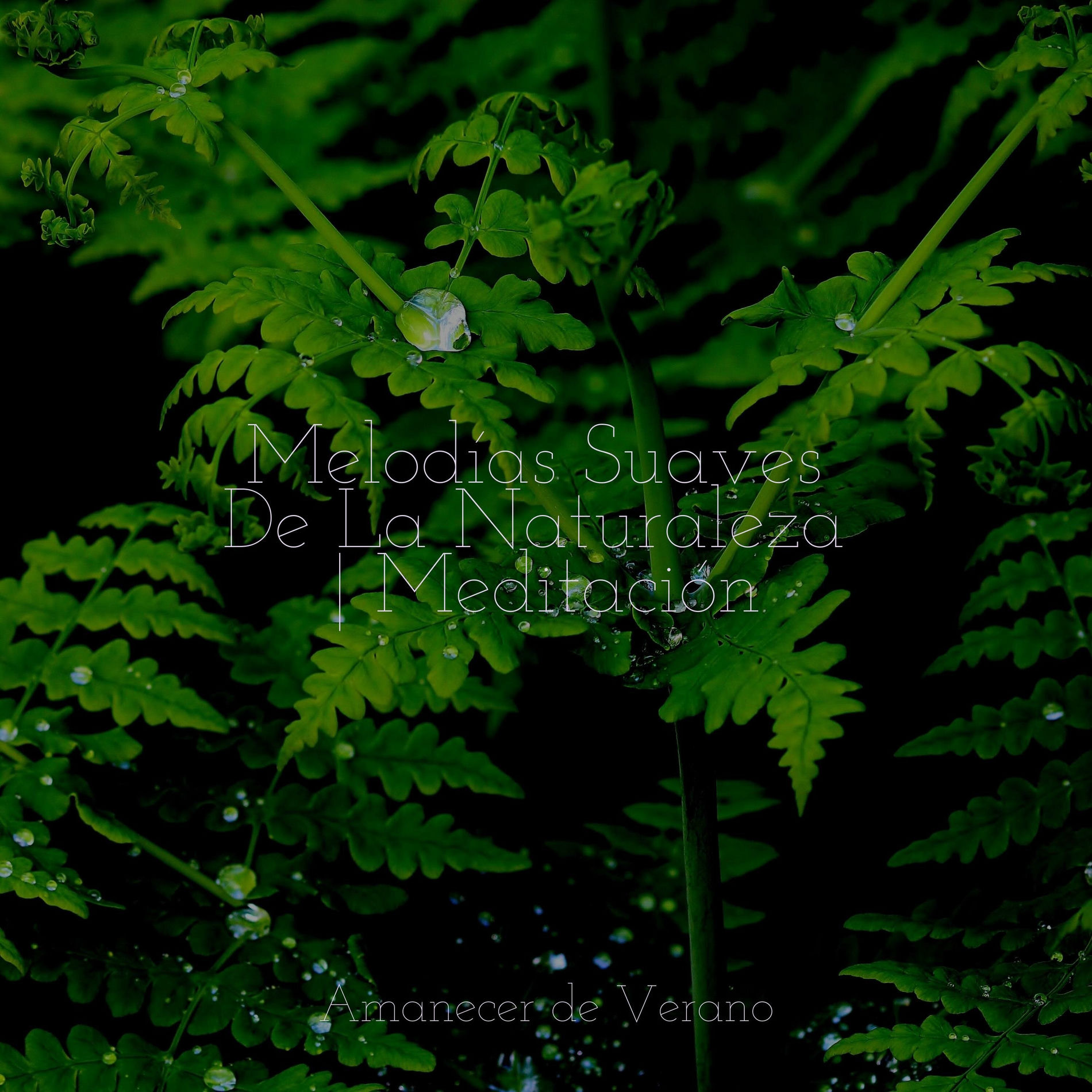 Album cover of Melodías Suaves De La Naturaleza | Meditación