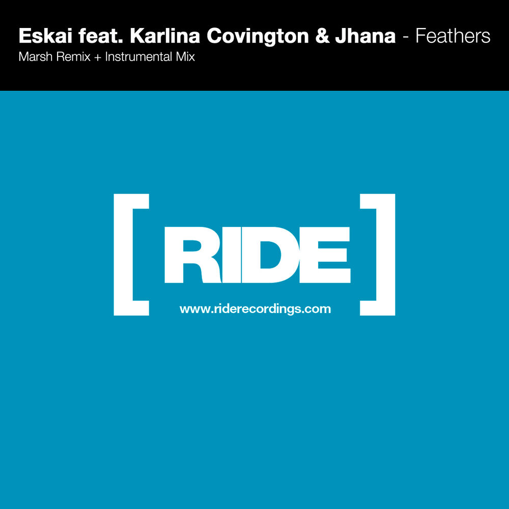 Picture of Feathers (Remixes)