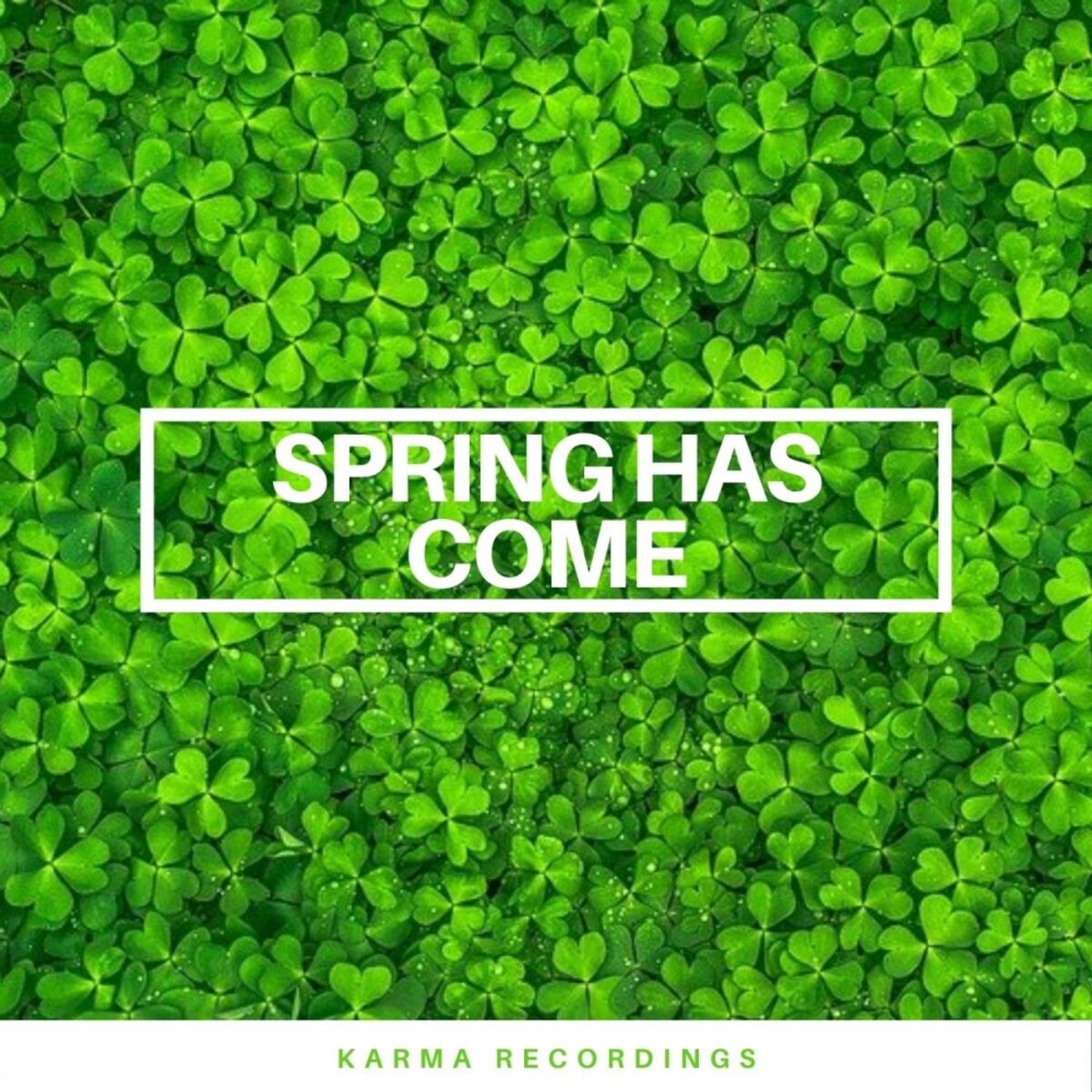 Album cover of Spring Has Come