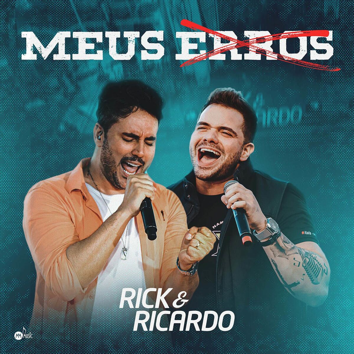 Album cover of Meus Erros