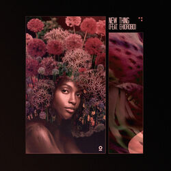 Cover of New Thing