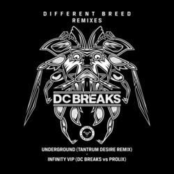 Cover of Infinity VIP / Underground (Tantrum Desire Remix)