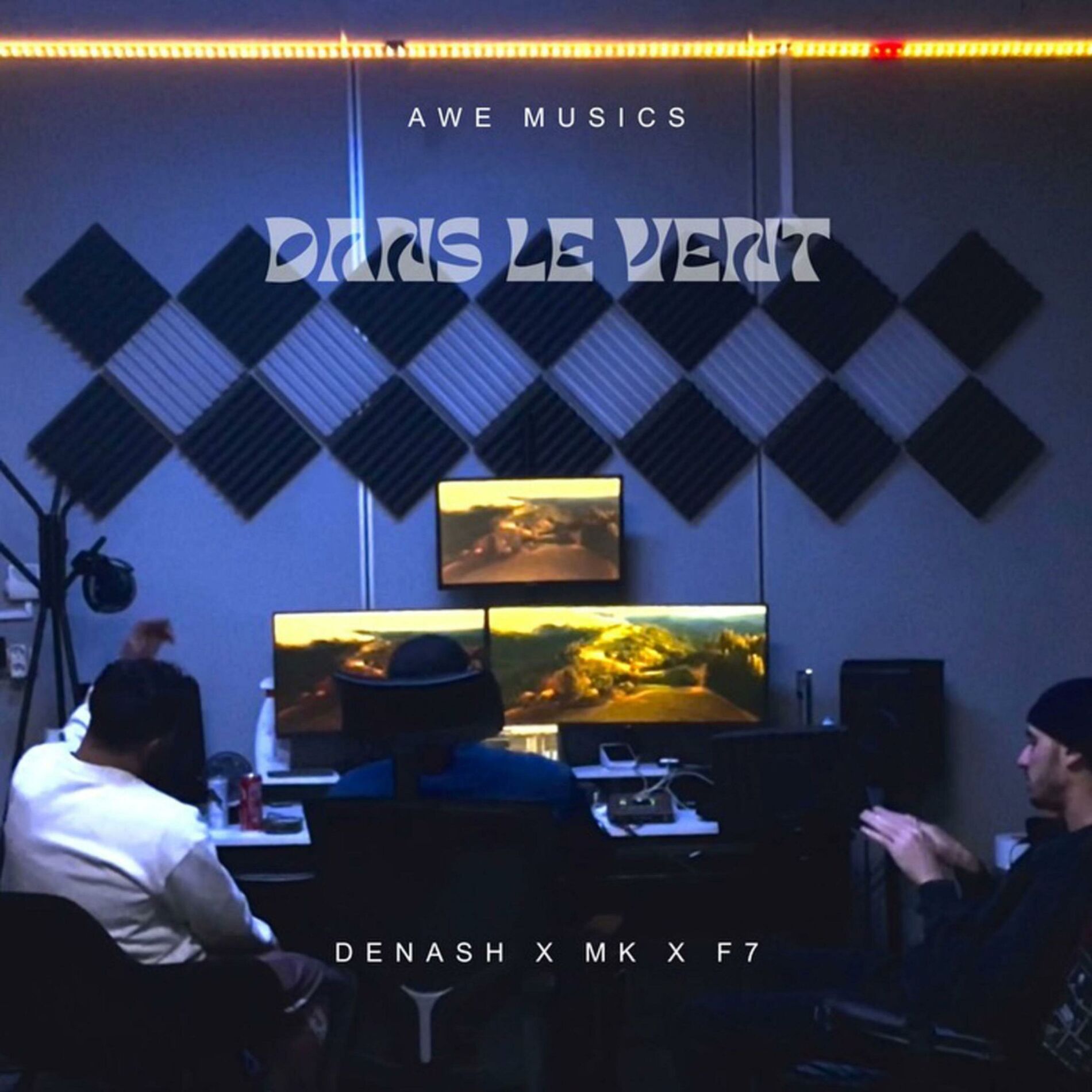 Album cover of Dans le vent (feat. F7 & MK Add)