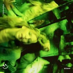 Cover of STAN (TECHNO)