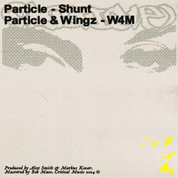 Cover of Shunt / W4M