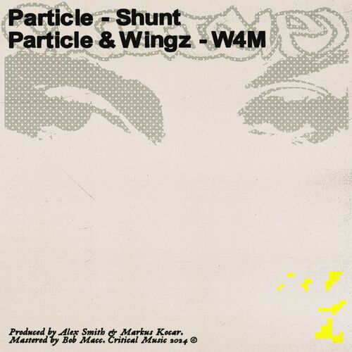  Particle - Shunt  W4M (2024) 