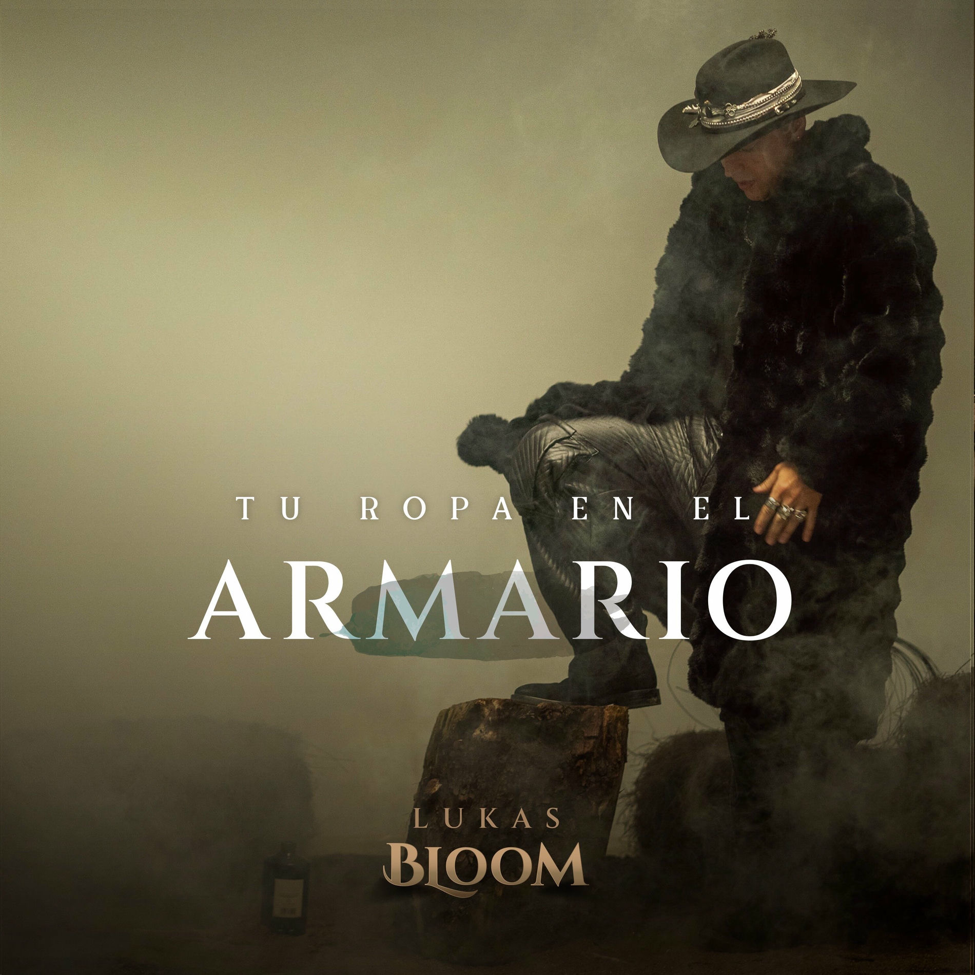 Album cover of Tu Ropa en el Armario