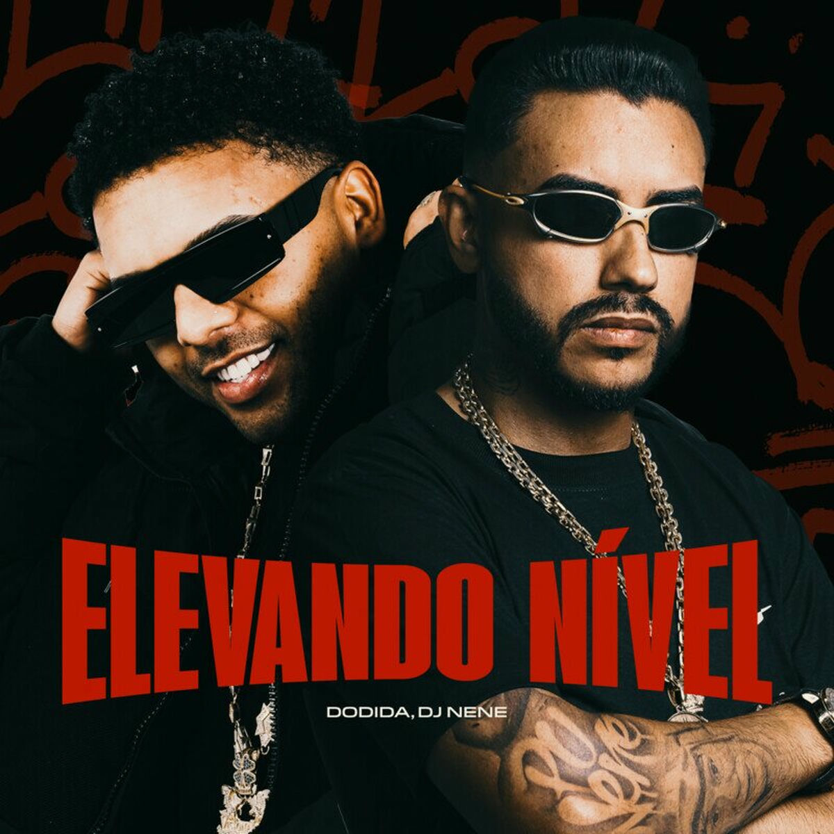 Album cover of Elevando Nível