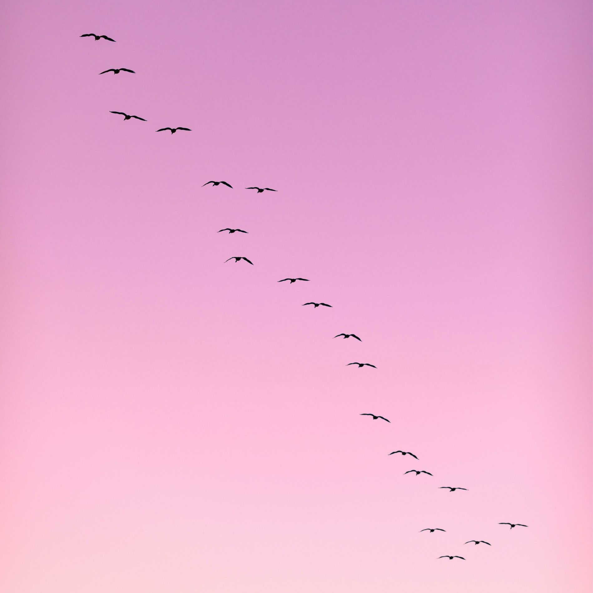 Album cover of Good Ending