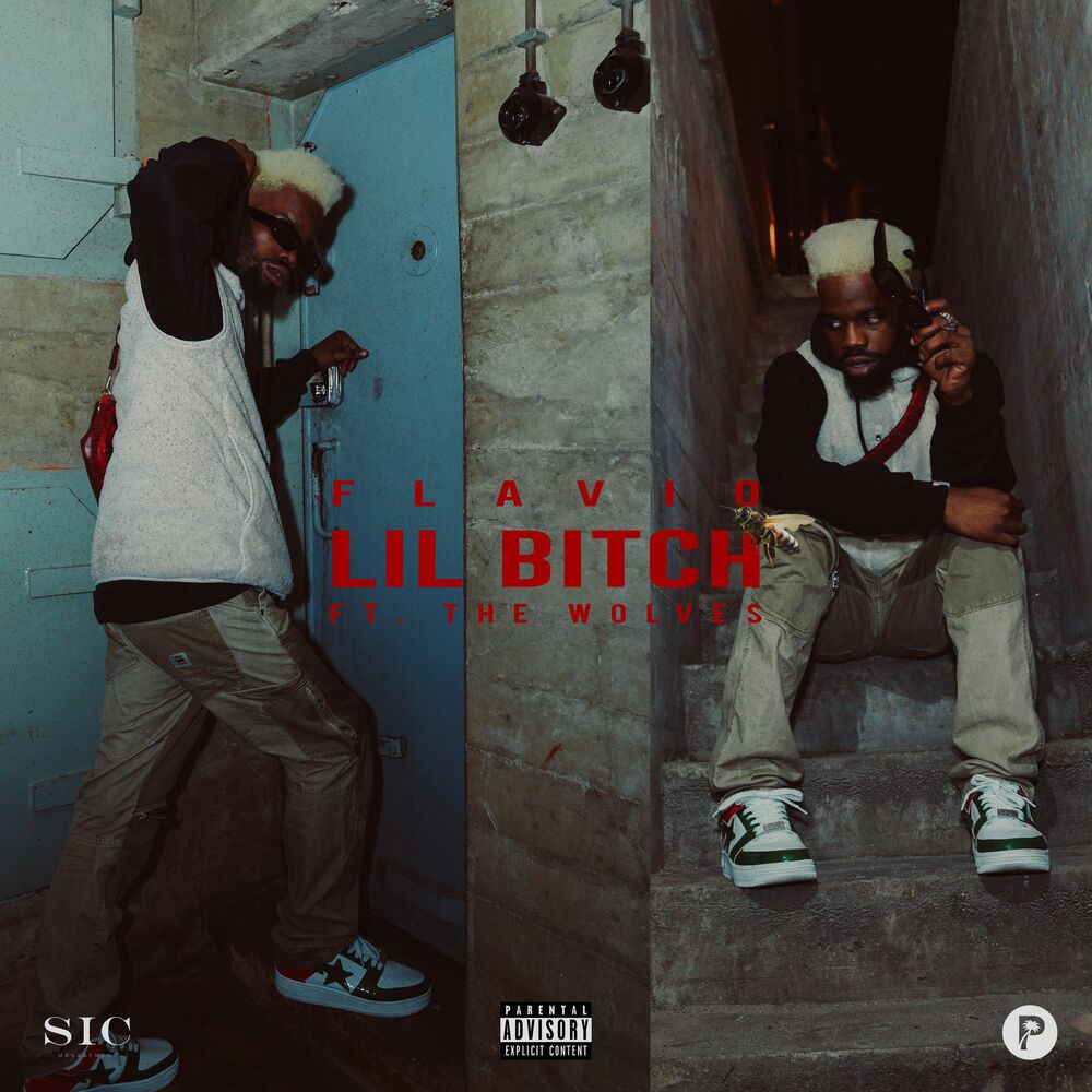 Picture of Lil Bitch (feat. The Wolves)