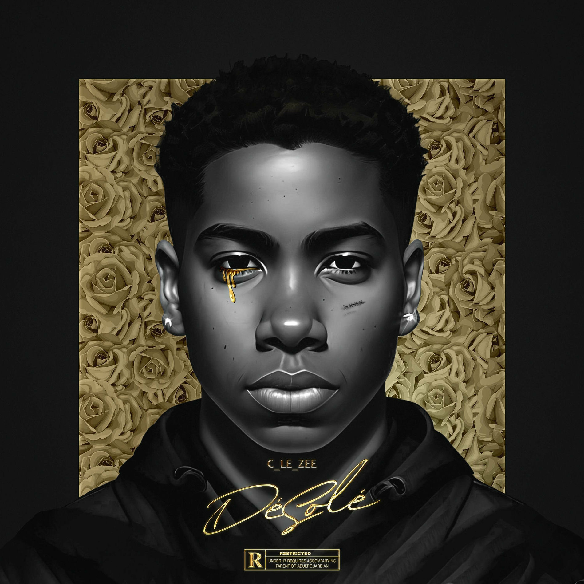 Album cover of Désolé