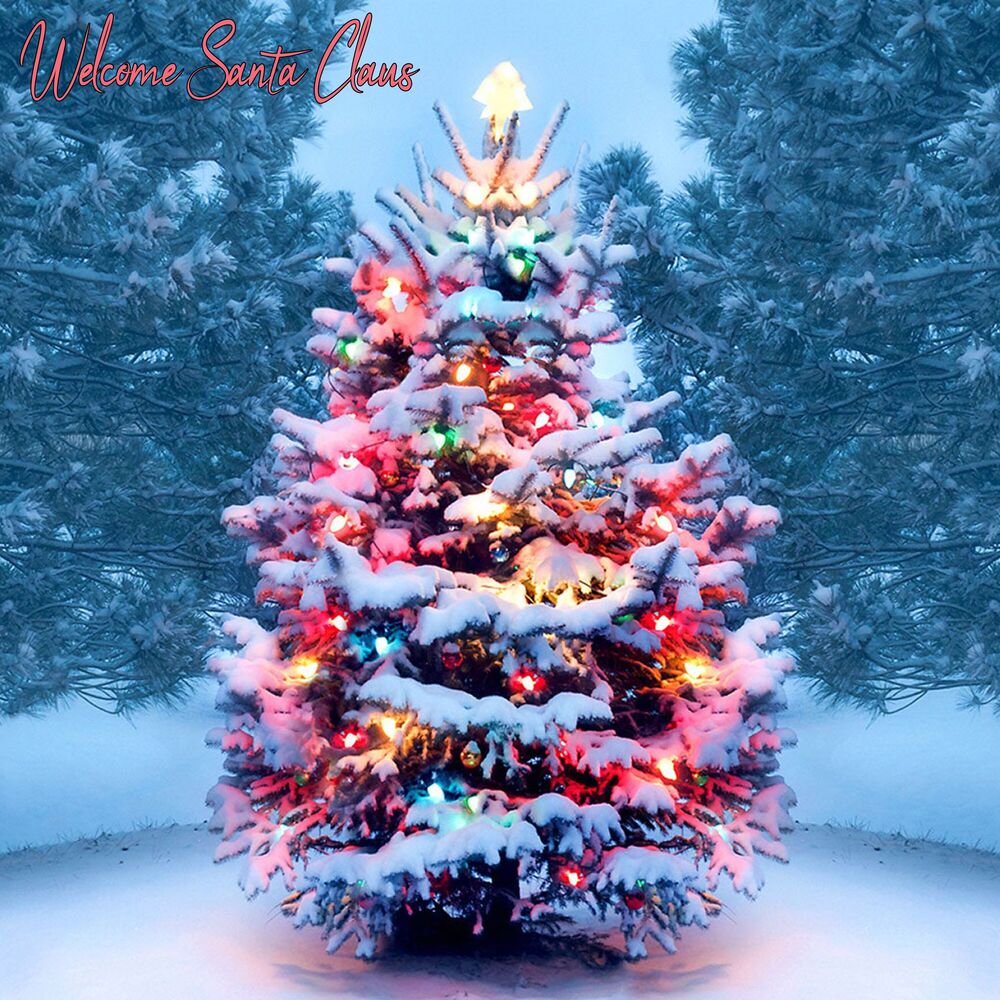 Picture of Welcome Santa Claus